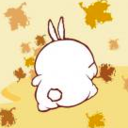 scribblesintheautumnwind avatar