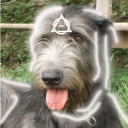 scribblesunshines avatar