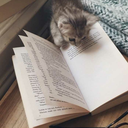 scribe-fo-live-888999 avatar