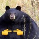 scrollinghermit avatar