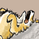 scrollingkingfisher avatar