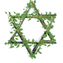 scrollofshadows avatar