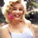 scruffycollins avatar