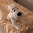 scruffydk1986 avatar