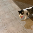 scrumptioussoullandcookie avatar