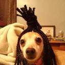 scrumptioustrash avatar