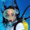 scubahoney23 avatar