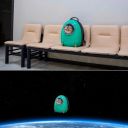 scullbob-mulpants avatar