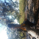 scum-resistance avatar