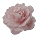 scvereignreigned avatar