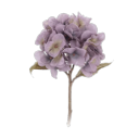 scyllancaster avatar