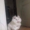 se-solo-tu-misma avatar