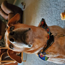 sea--pancakes avatar