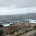 seabear-square avatar