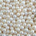 seafoampearlwitch avatar