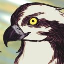 seaglassosprey avatar