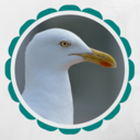 seagullandcroissant avatar