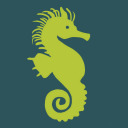 seahorse-collective avatar