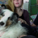 seahorseinastrangedomain-blog avatar