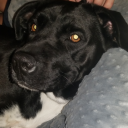 sealedmoments avatar