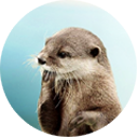 sealotter avatar