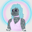 sealsbutlatin avatar