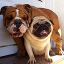 seamlesslyimperfect avatar