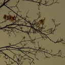 seamlessserenity avatar