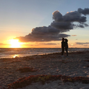 searching-the-rainbow avatar