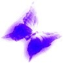 searching4beyth avatar