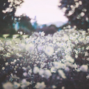 searchingandwaiting avatar