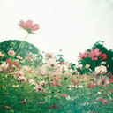 searchingfor--myself avatar