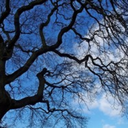 searchingforclearskies-blog avatar