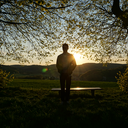 searchingforthepictures avatar