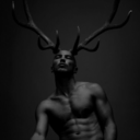 searchingstag avatar