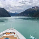 searchontheroll avatar