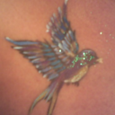 searedscallops avatar