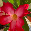 seas-of-life-2 avatar