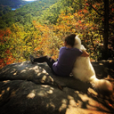 seas-the-mmrs avatar