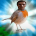 seasickcecilia avatar