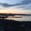 seasidewriter1 avatar