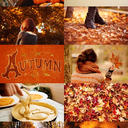 seasonalblessingsbyalyssa avatar