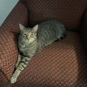 seasonalmeasonal avatar