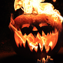 seasons-greetings avatar