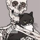 seatsbythepit avatar