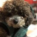 seattlebcooks avatar