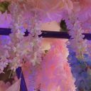 seattlebluehouse avatar