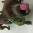 seattlesea-hawks12 avatar