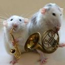 seaturbulence avatar