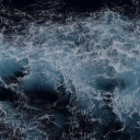 seaweedbrains-world avatar